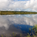 Паша Впереди деревня