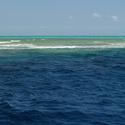 Большой Барьерный риф Лагуна Хикс рифа