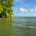 Сейшельские острова Плачущая пальма