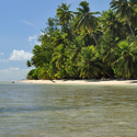 Сейшельские острова Пальмовый пляж