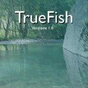 True Fish - игра рыбалка на компьютер